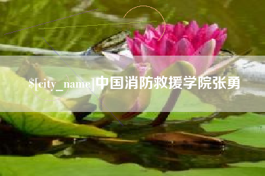 林芝中国消防救援学院张勇