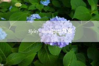 林芝2022九宫