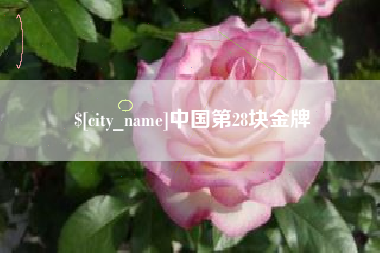 林芝中国第28块金牌