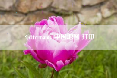 林芝中国地图 打印