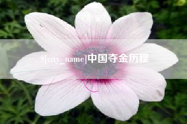 林芝中国夺金历程