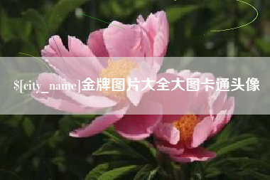 林芝金牌图片大全大图卡通头像