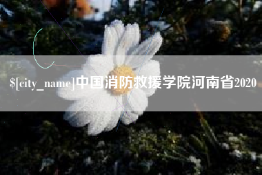 林芝中国消防救援学院河南省2020