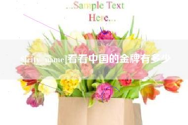 林芝看看中国的金牌有多少